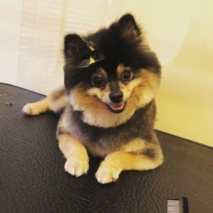 Meet your Poshers, Gina & Karlie